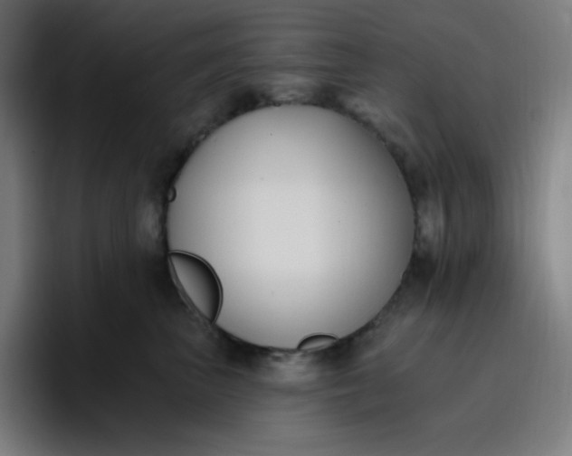 X0000096720667200802191529