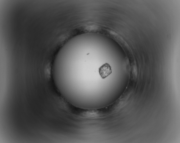 X0000096720668200802191529