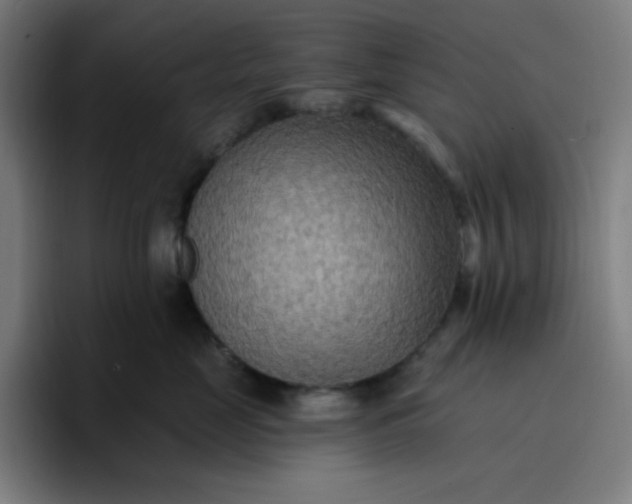 X0000096720669200802191529