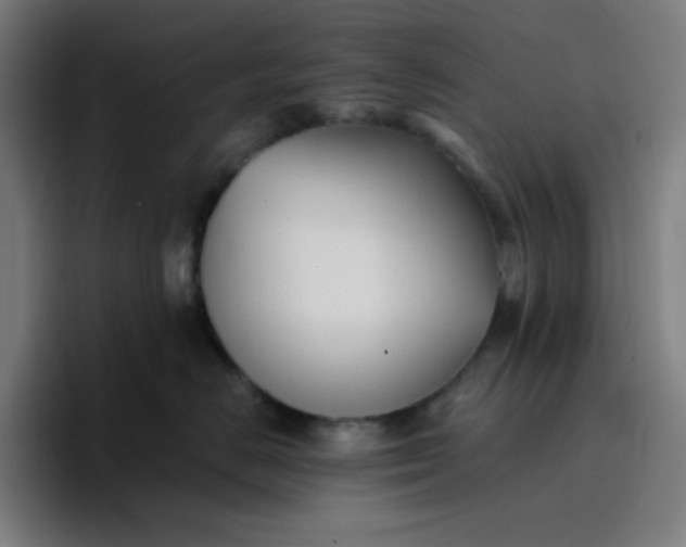 X0000096720670200802191529