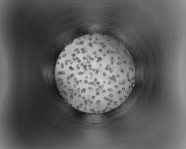 X0000096720671200802191529