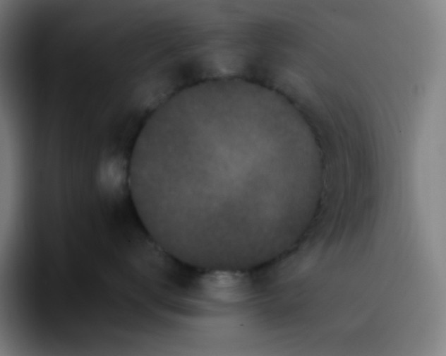 X0000096720672200802191529