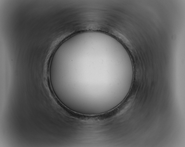 X0000096720673200802191529