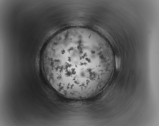 X0000096720675200802191529