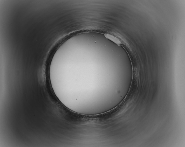 X0000096720676200802191529