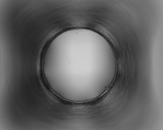 X0000096720677200802191529