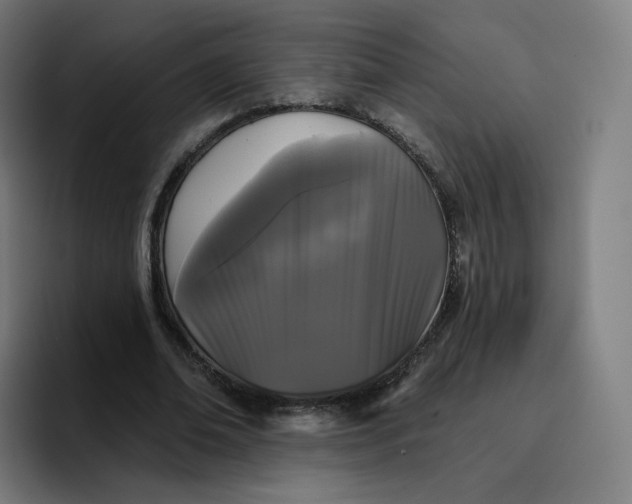 X0000096720678200802191529