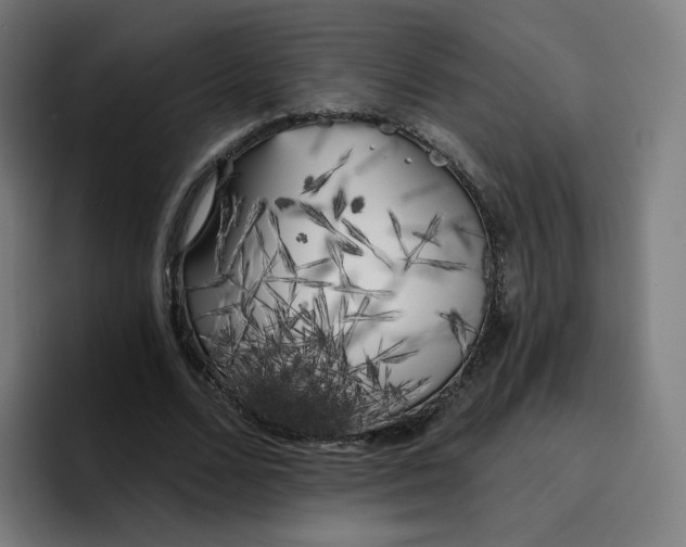 X0000096720680200802191529