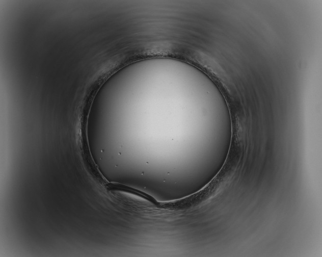 X0000096720681200802191529