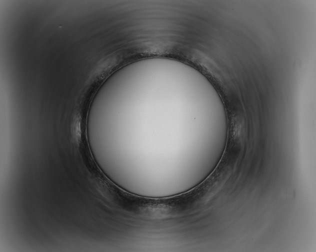 X0000096720685200802191529