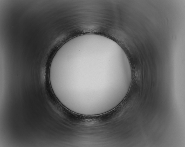 X0000096720686200802191529