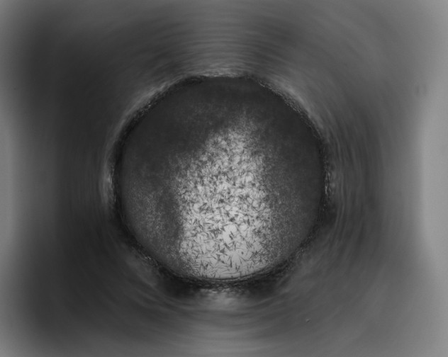 X0000096720688200802191529