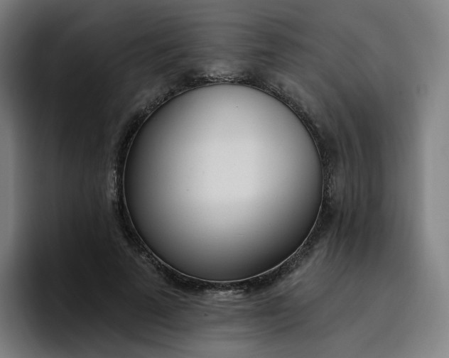 X0000096720689200802191529