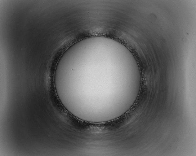 X0000096720690200802191529