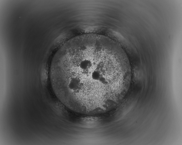 X0000096720691200802191528