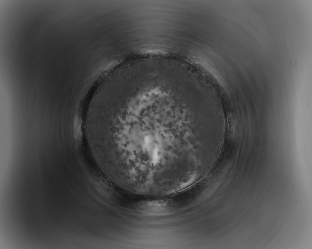 X0000096720692200802191528