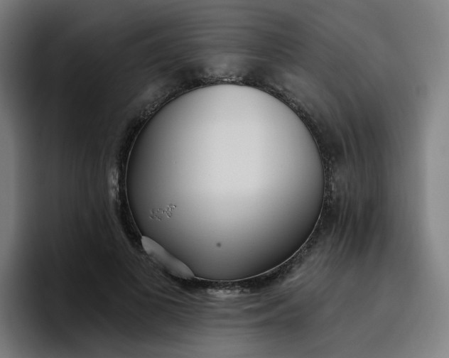 X0000096720693200802191528