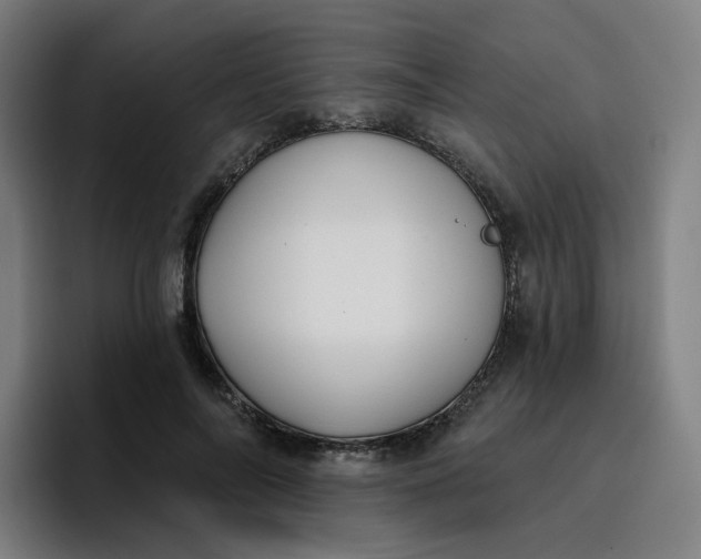 X0000096720694200802191528