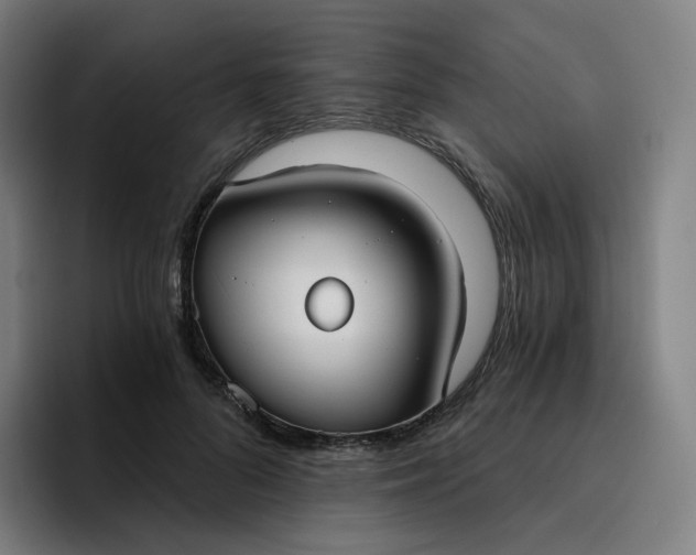 X0000096720696200802191528