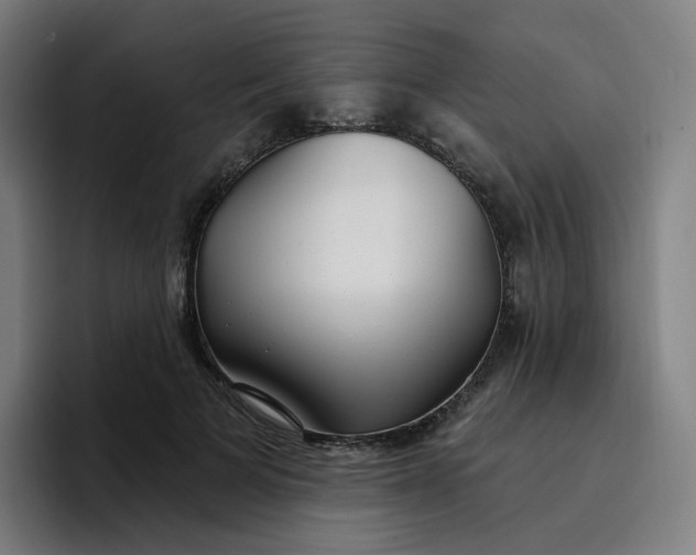 X0000096720697200802191528