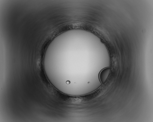 X0000096720698200802191528