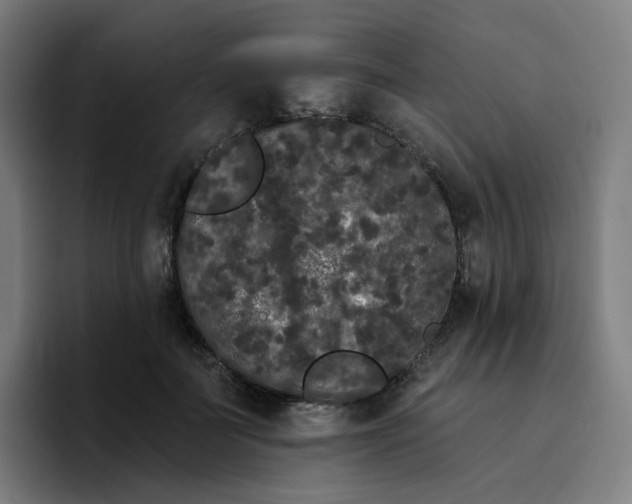 X0000096720699200802191528