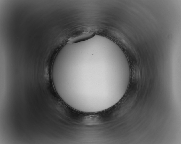 X0000096720700200802191528