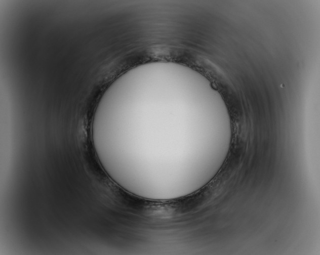 X0000096720702200802191528