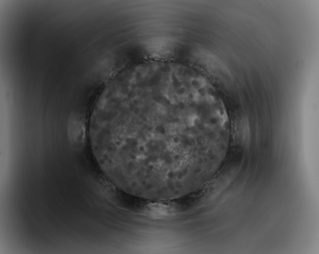 X0000096720703200802191528