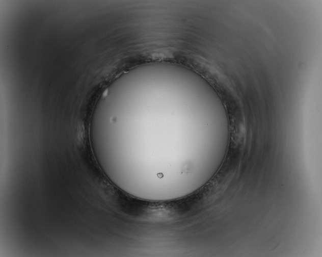 X0000096720704200802191528