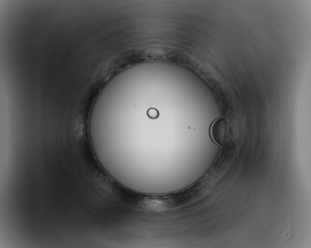 X0000096720706200802191528