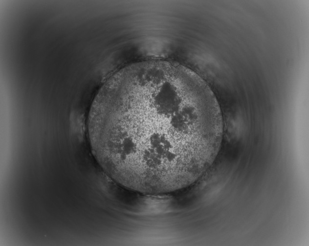 X0000096720707200802191528