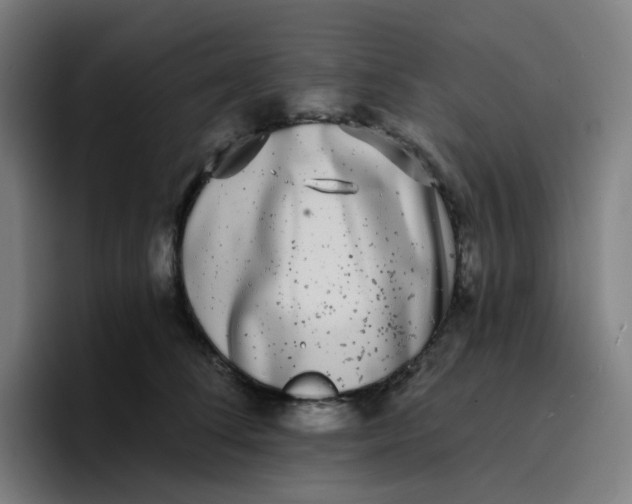 X0000096720708200802191528