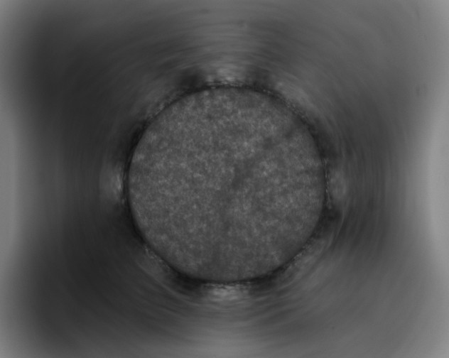 X0000096720709200802191528