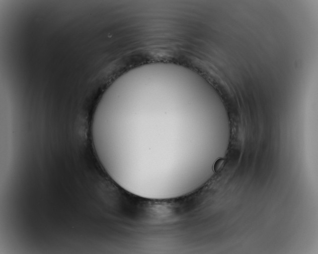 X0000096720710200802191528