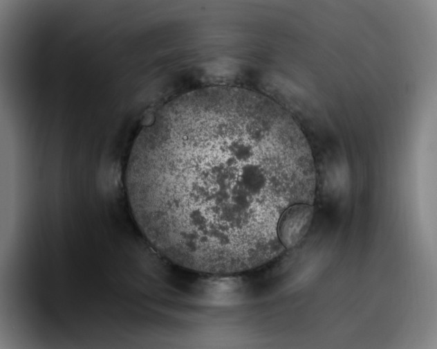 X0000096720711200802191528