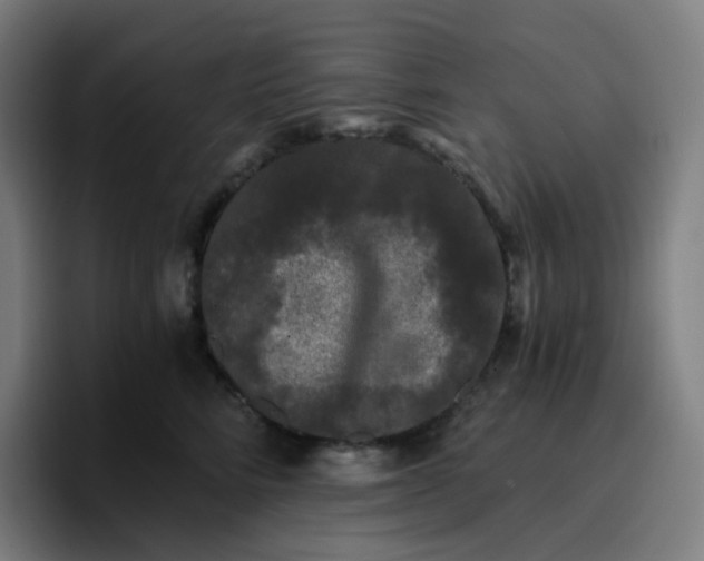 X0000096720712200802191528