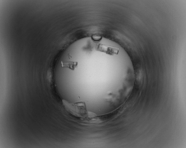 X0000096720715200802191528