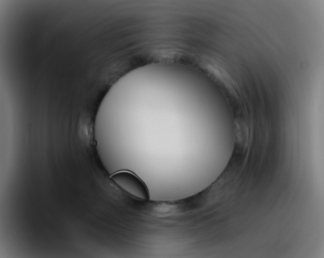 X0000096720718200802191528