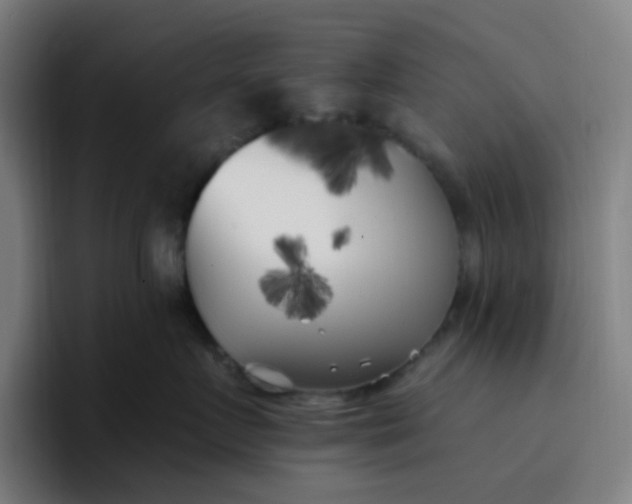 X0000096720719200802191528