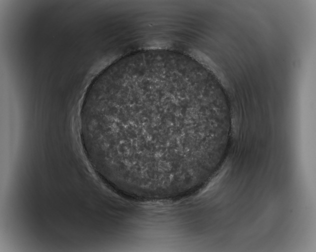 X0000096720721200802191527