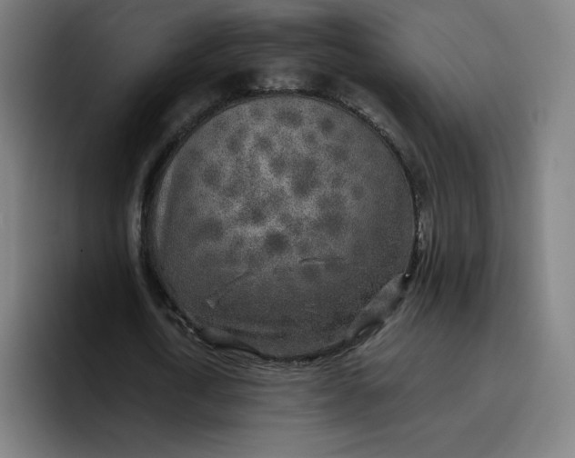 X0000096720722200802191528