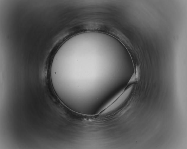 X0000096720723200802191528