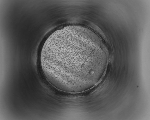 X0000096720724200802191528