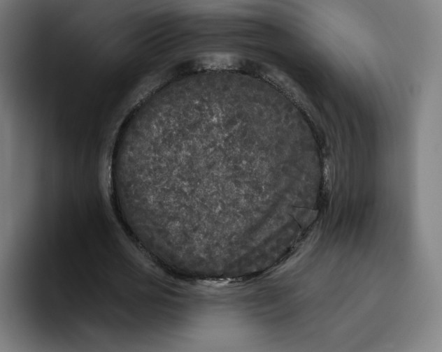 X0000096720725200802191528