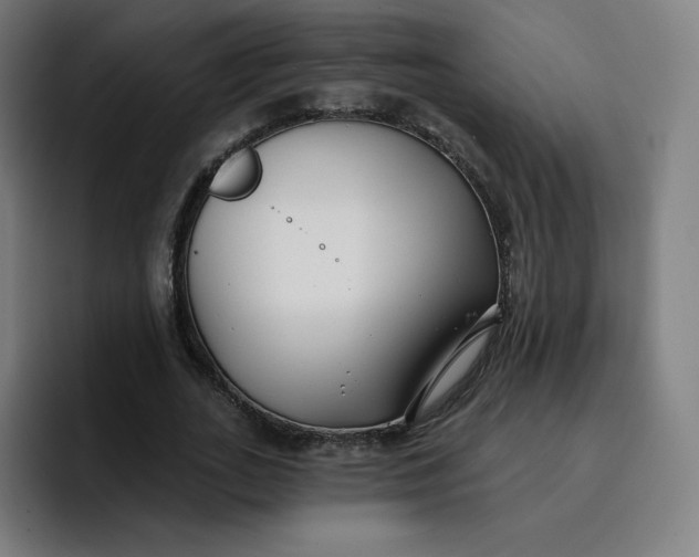 X0000096720727200802191528