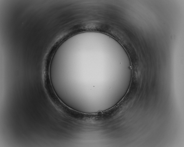 X0000096720728200802191528