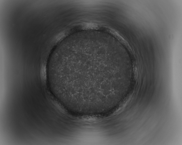 X0000096720729200802191528