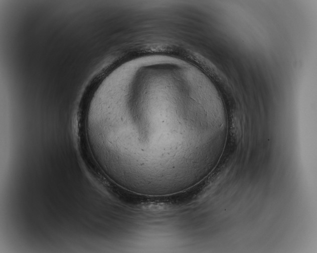 X0000096720730200802191528