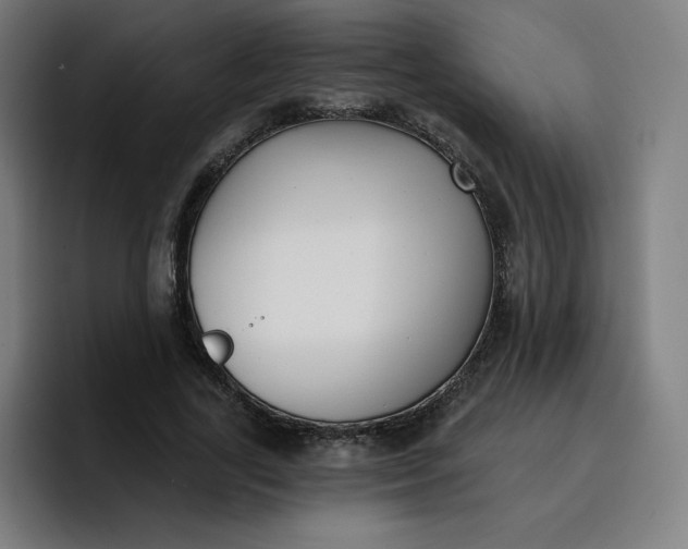 X0000096720731200802191528